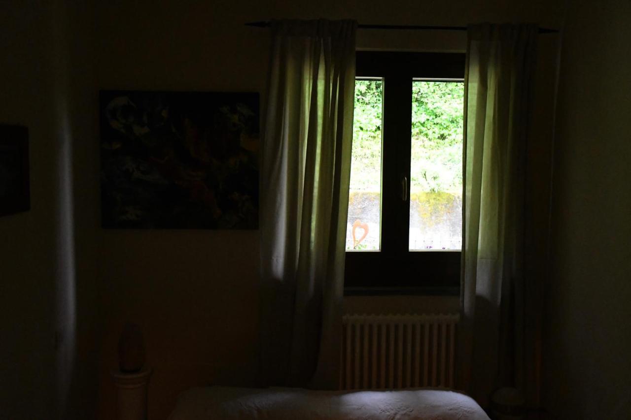 Dol-Ce Holiday Home Camaiore Zewnętrze zdjęcie