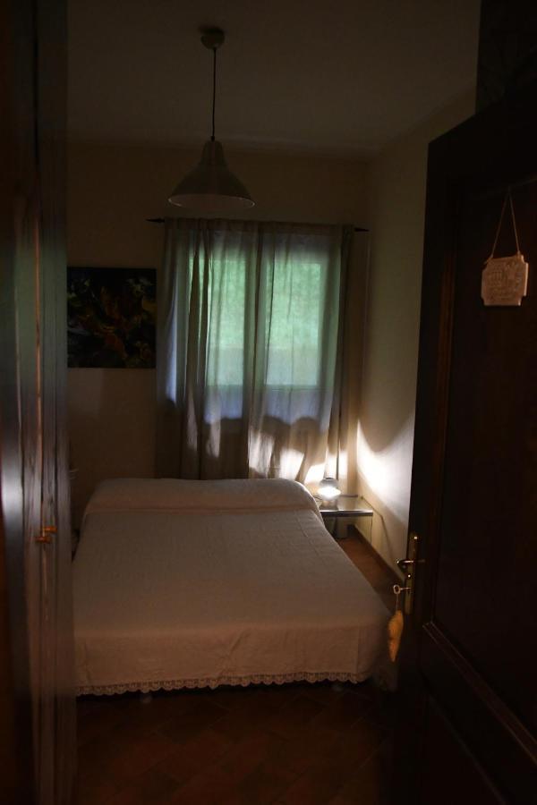 Dol-Ce Holiday Home Camaiore Zewnętrze zdjęcie